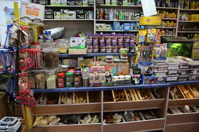 ZOONEMO PET'S - sklep zoologiczny